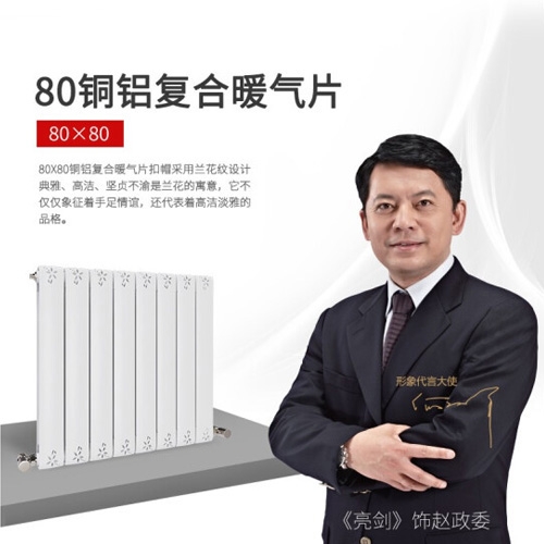 銅鋁復合80×80A散熱器